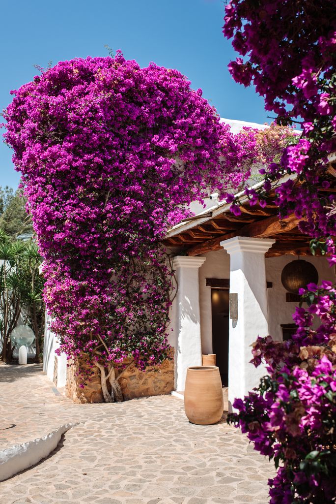 Ibiza’s Atzaró Agroturismo Hotel entrance with white stone pillars and beautiful purple flowers