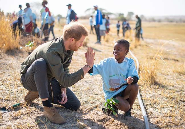 Prince Harry tree planting Botswana