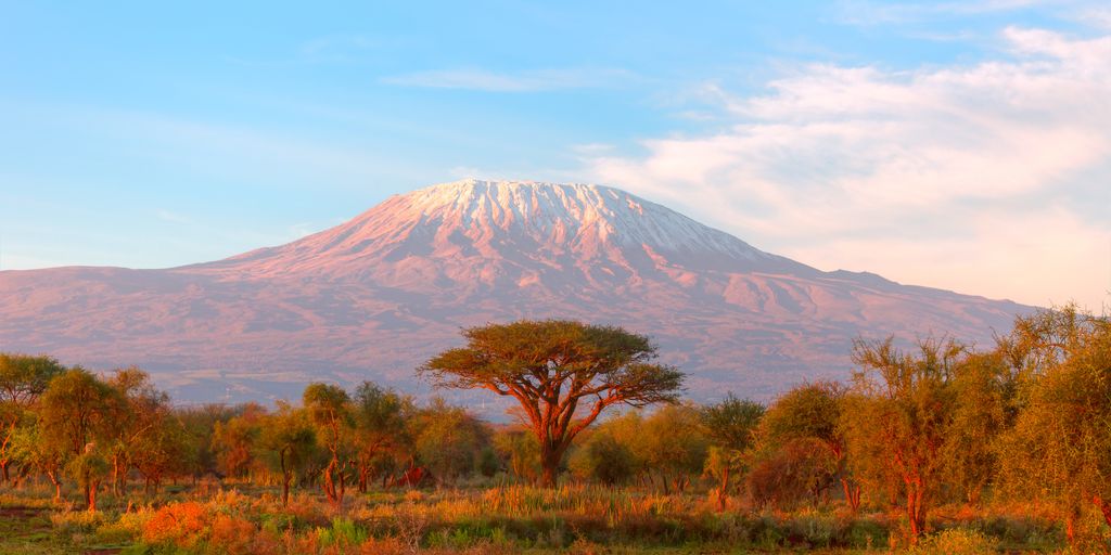 Mount Kilimanjaro with Acacia in foreground