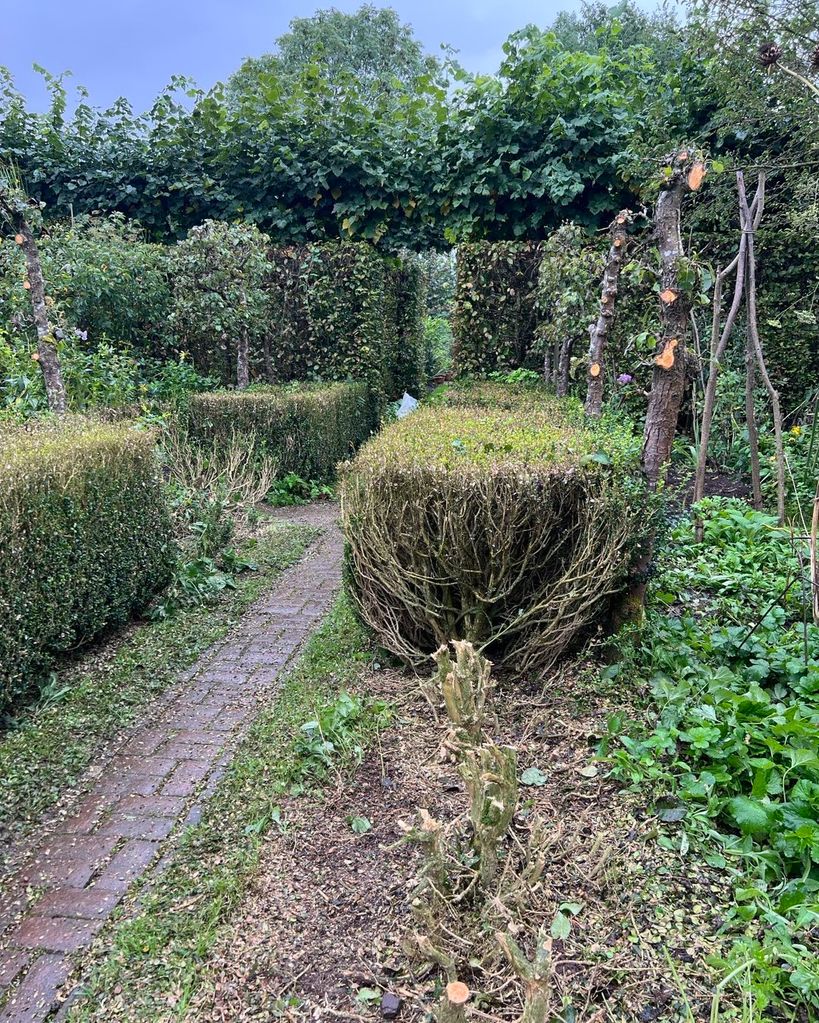 box hedges in monty don's garden 