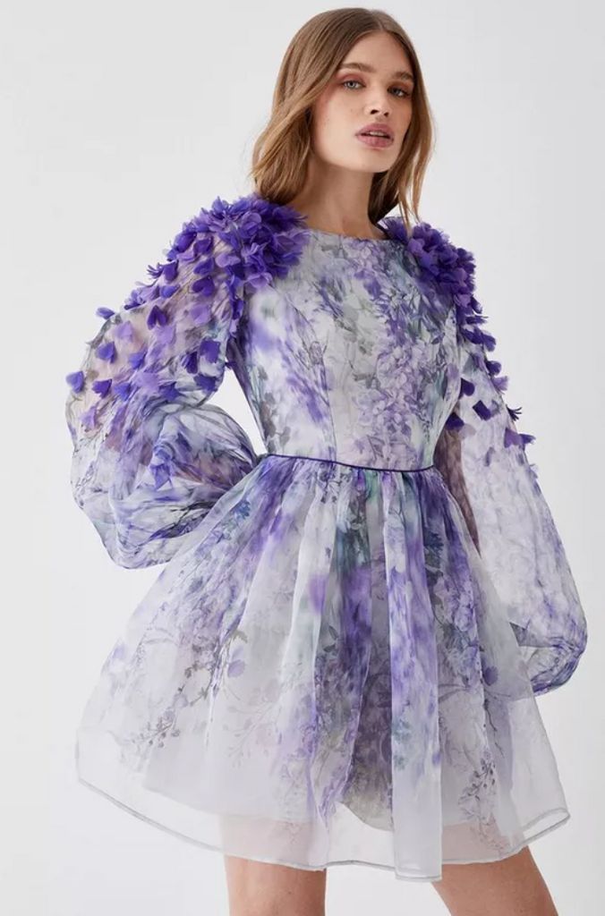 Speak Now Eras Dress Coast Hand Stitched 3d Floral Organza Mini Dress