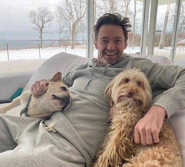 Hugh Jackman with his dogs at his Hampton's home