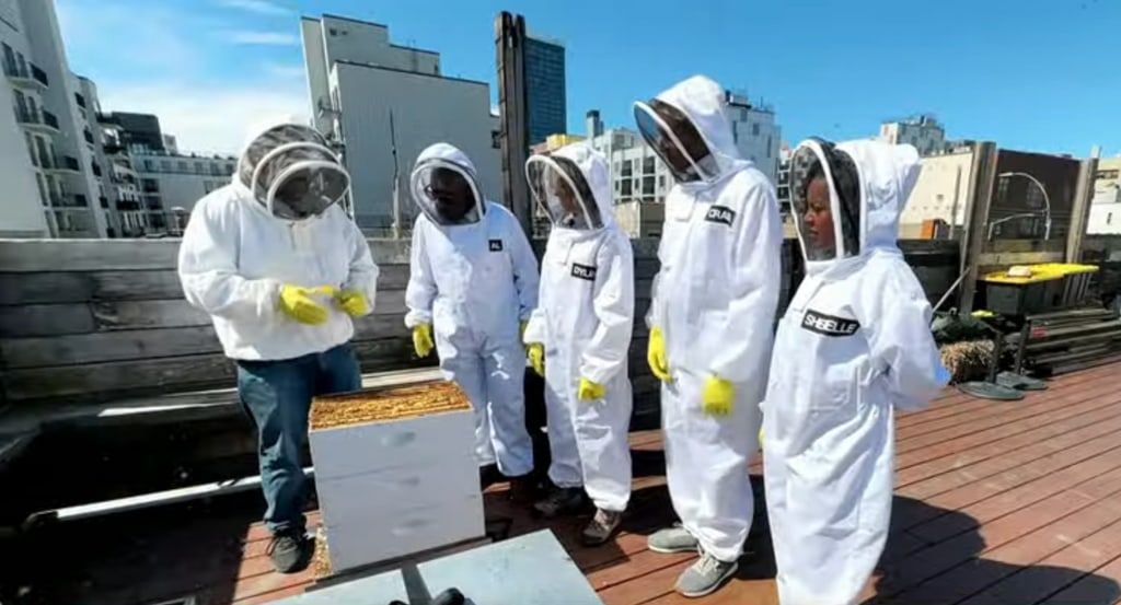 The Today Show team dressed in beekeepers outfits for their latest assignment 