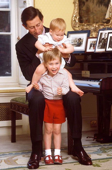 prince charles making prince william and prince harry laugh