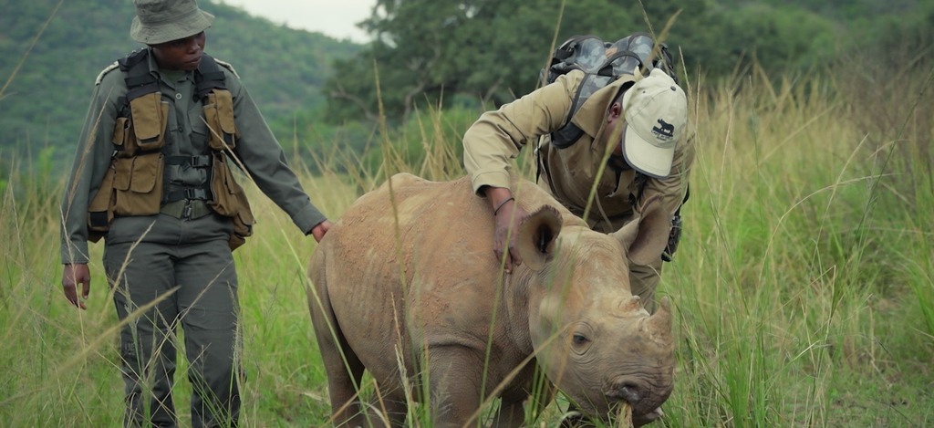 Rangers in South Africa