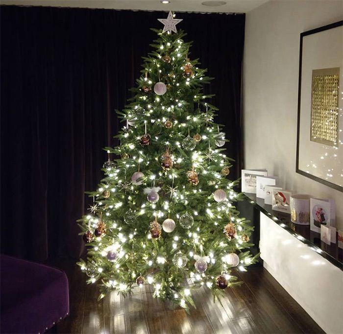 10 Alesha Dixon house Christmas tree