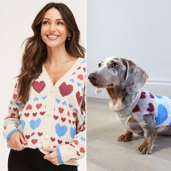 Dog jumpers 2022 The best matching jumpers for you and your dog HELLO!