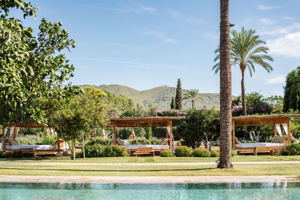 Ibiza’s Atzaró Agroturismo Hotel poolside complete with daybeds and palm trees