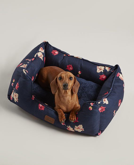 joules bed