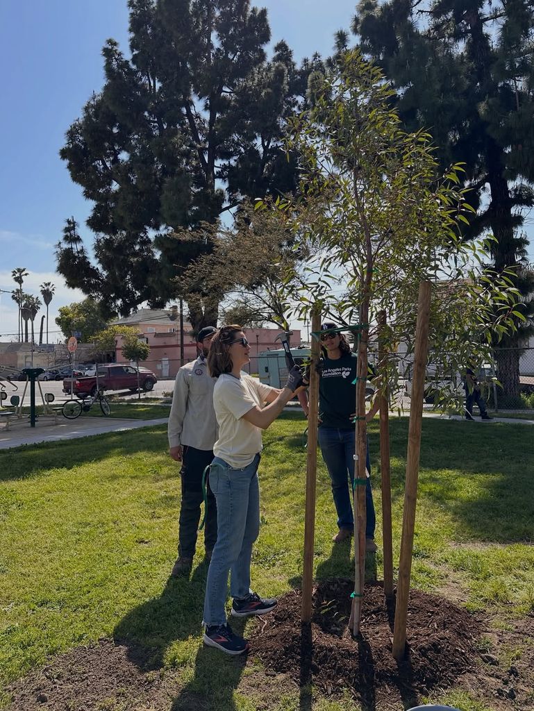 Jennifer Garner and her three children planted several trees in LA