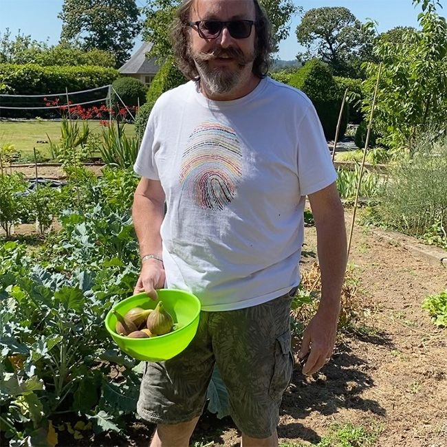David Myers vegetable plot