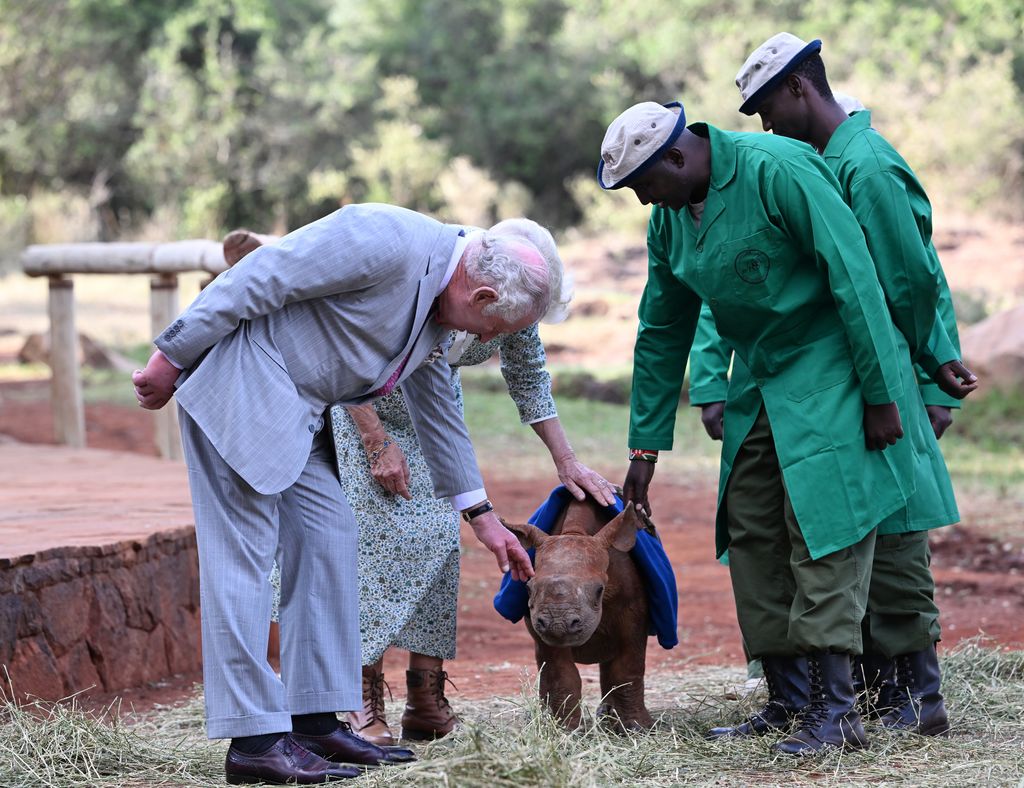 King Charles and Queen Camilla pet a baby rhino