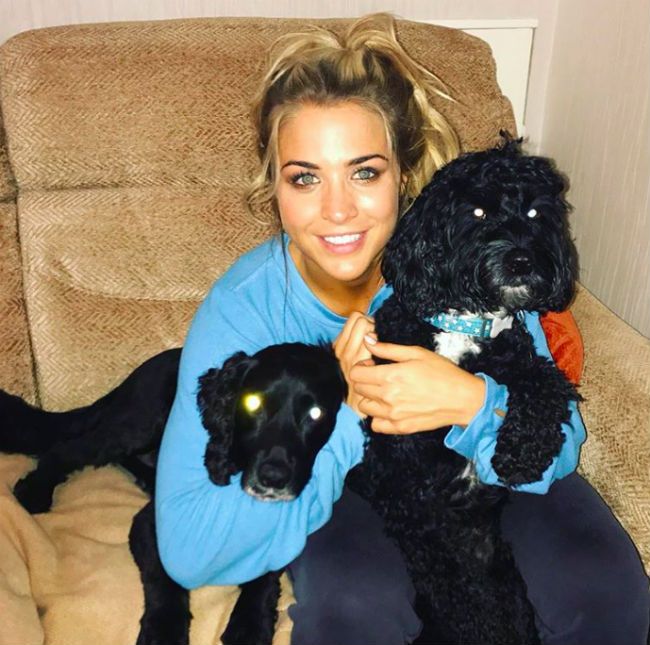 gemma atkinson dogs