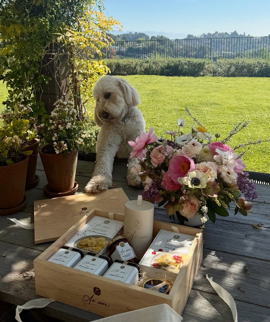 Mandana shared a photo of her adorable dog Bauer pawing at the As Ever goodies 