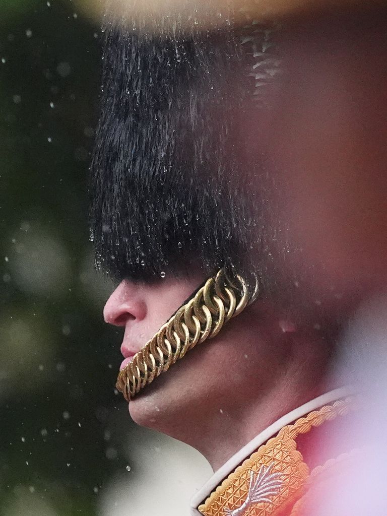 Prince William wearing bearskin in the rain