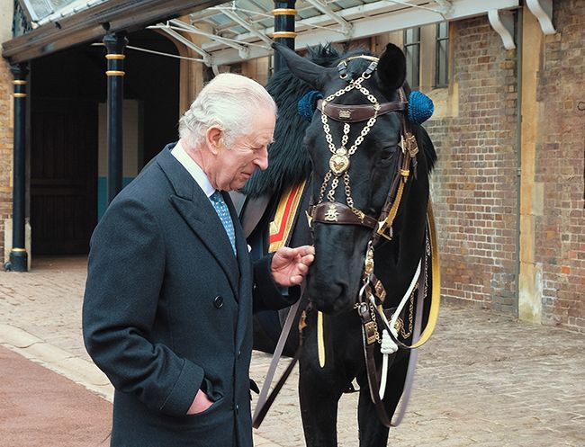 King Charles with black horse