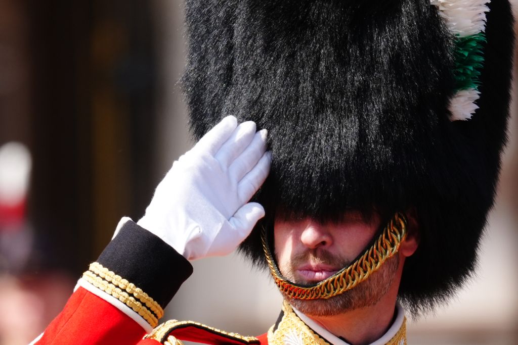 Prince William wearing bearskin and saluting 