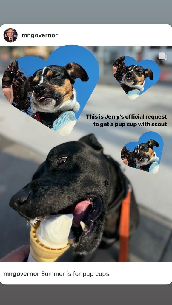 Screengrab of Ella Emhoff's Instagram Story, which has a pic of Tim Walz' dog eating a pup cup. Surrounding the dog are smaller pictures of Ella's dog