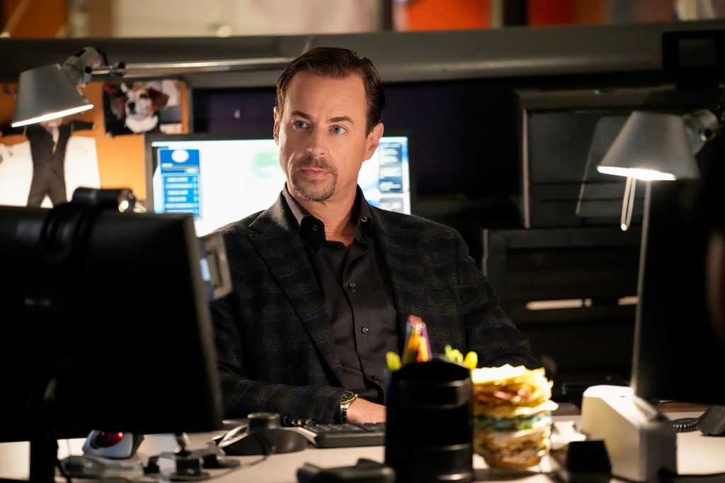 Sean Murray as Special Agent Timothy McGee