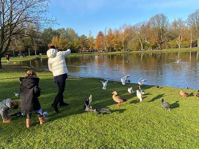 gal gadot children feeding ducks