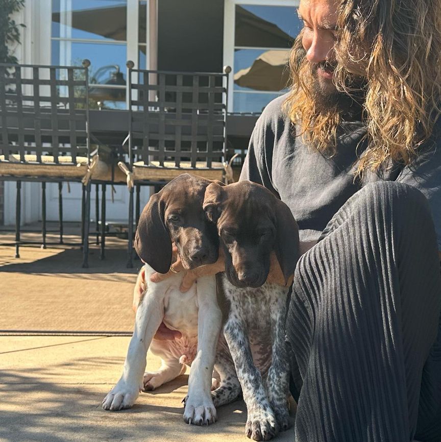 Tom Kaulitz with two puppies