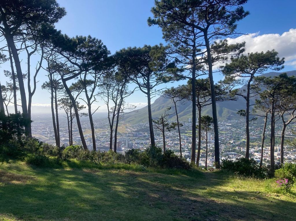 Take in views of the city, mountains and coastline from Signal Hill