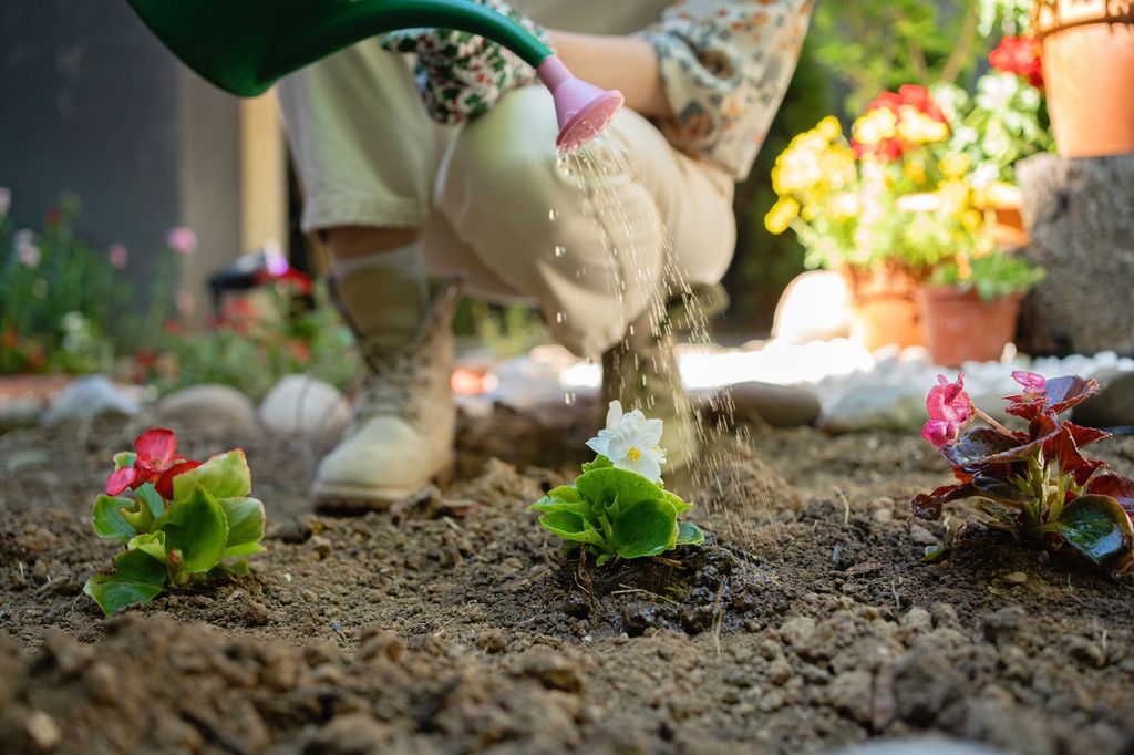 Woman watering flowers in her garden