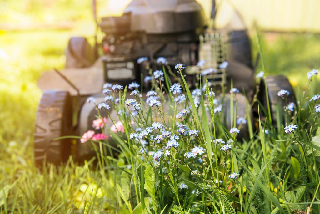 Lawnmower near flowers in grass