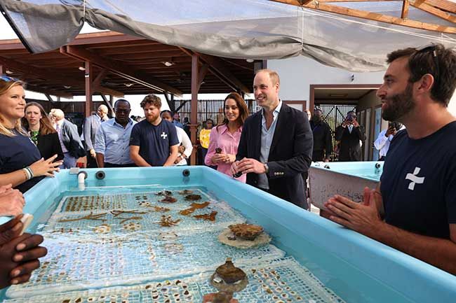 Prince William and Kate visit Coral Vita
