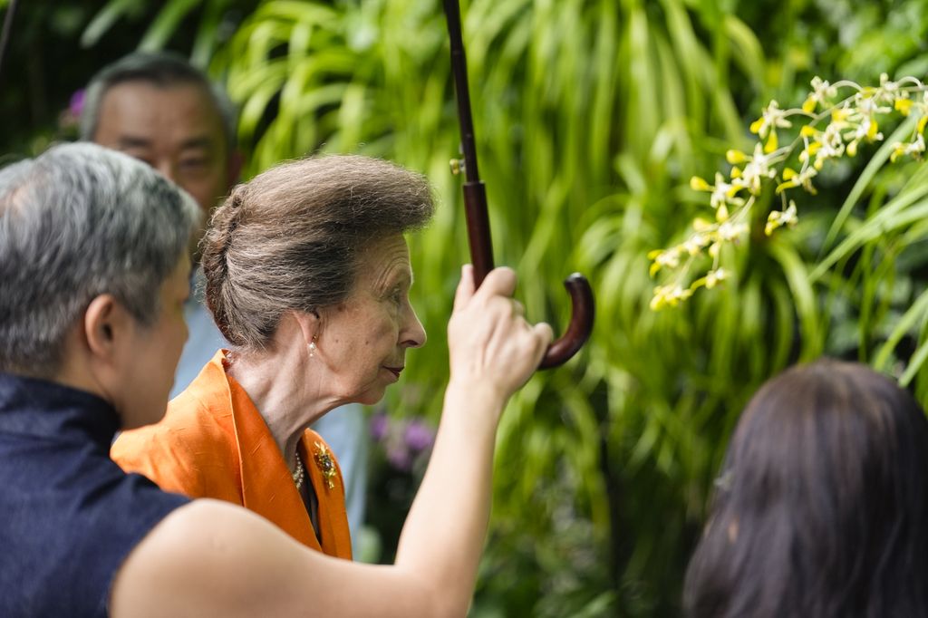 The Princess Royal observing the Dendrobium Elizabeth during a visit to the National Orchid Garden for the naming ceremony of the 'Dendrobium Anne' orchid, as part of the two-day visit to Singapore to mark 60 years of diplomatic relations between the UK and Singapore. Picture date: Wednesday November 12, 2025. (Photo by Jordan Pettitt/PA Images via Getty Images)