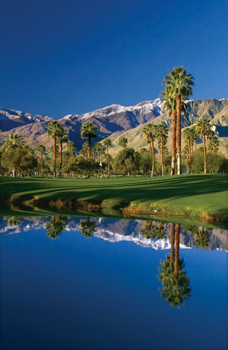 Palm Springs: Inside the desert oasis loved by Sinatra and DiCaprio, Activity Holidays, Travel