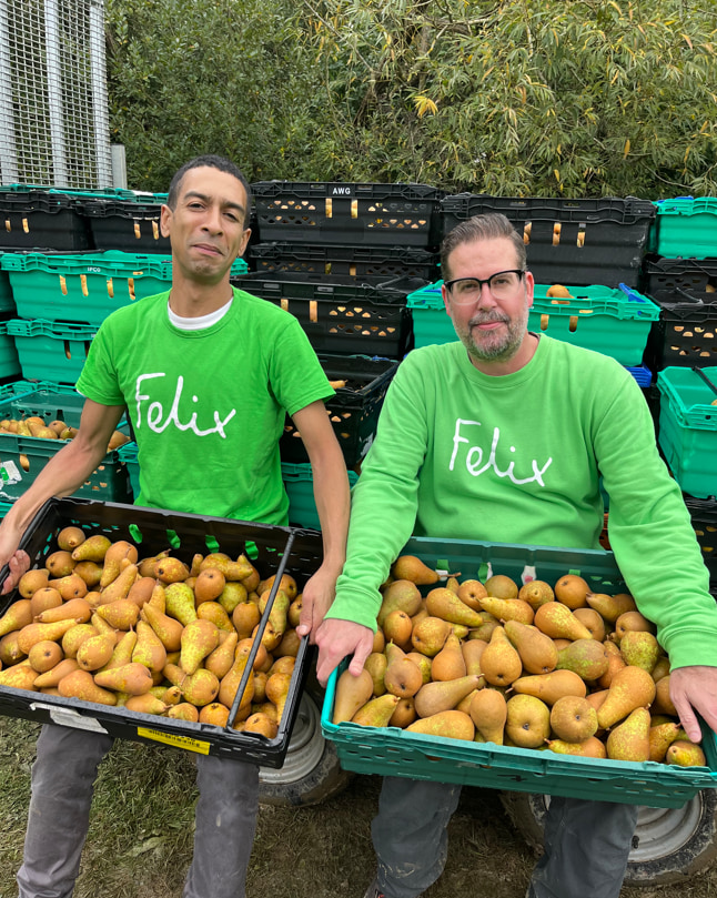 Volunteers with The Felix Project holding crates of pears