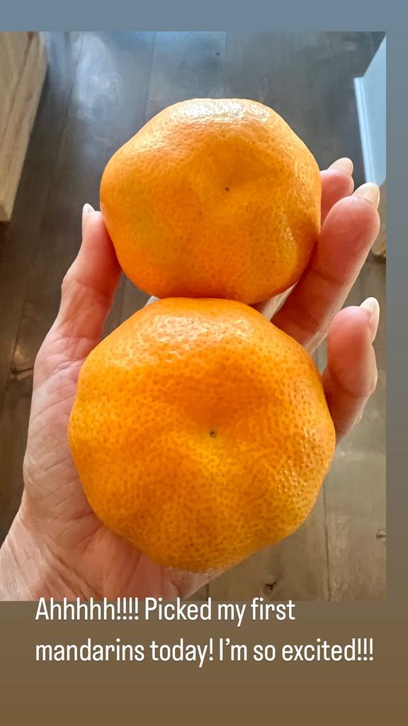 carrie underwood shows off homegrown mandarins