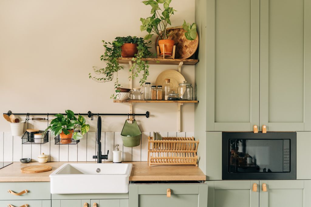 green kitchen with plants 