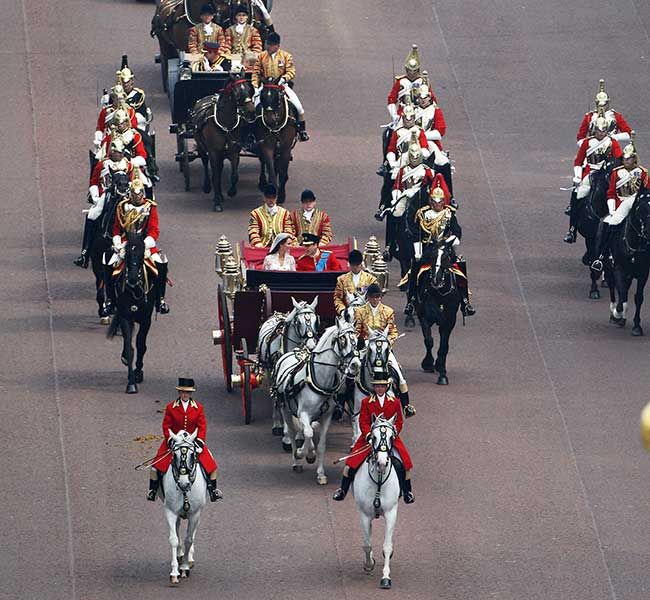 royal wedding horses