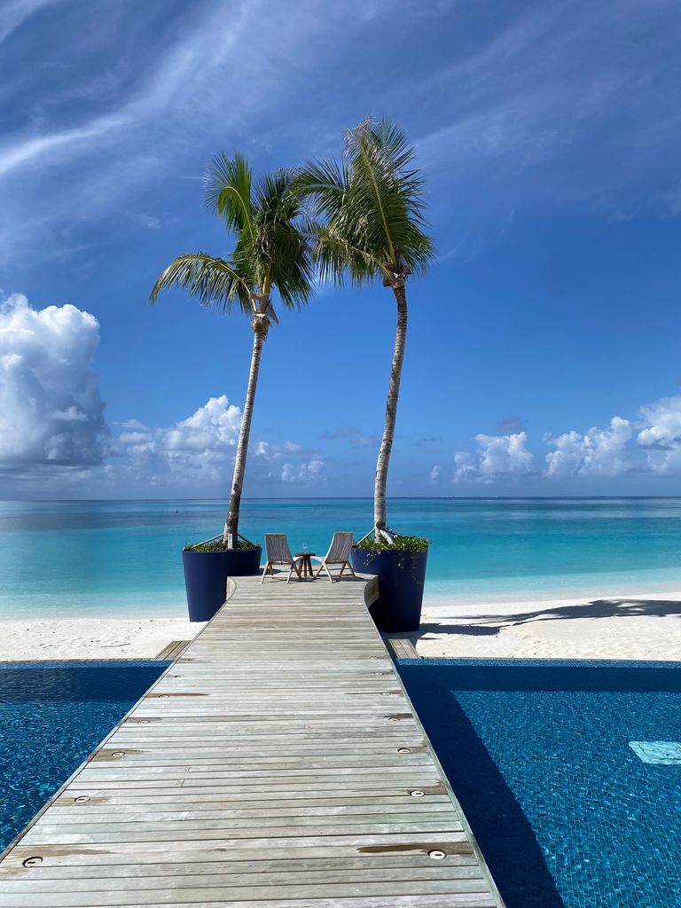 Maldives beach with palm trees