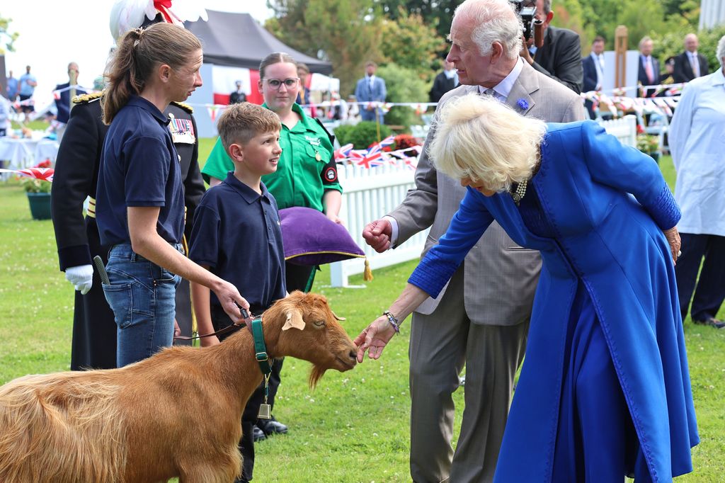 King Charles III And Queen Camilla meet with Somerville Tamsin, affectionately known as Tamtam! the Golden Guernsey Goat