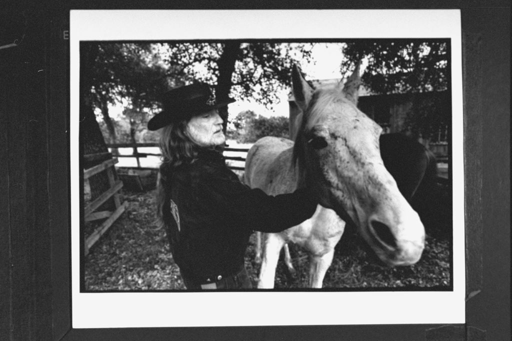 Willie stroking a horse 