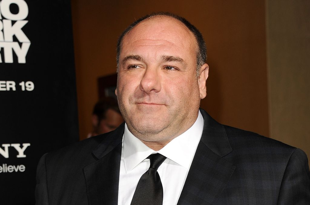 Actor James Gandolfini attends the premiere of "Zero Dark Thirty" at the Dolby Theatre on December 10, 2012 in Hollywood, California.