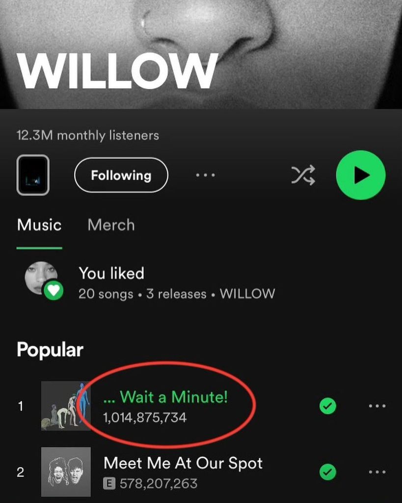 Willow Smith's Spotify page on dad Will's phone, shared on Instagram