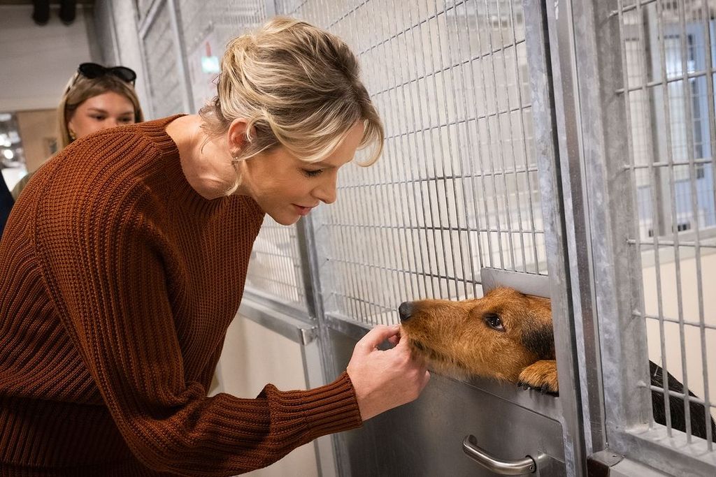 Princess Charlene of Monaco pets a dog at an animal welfare centre