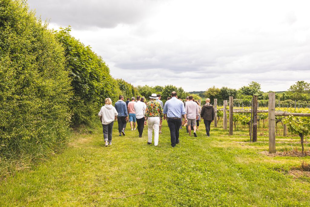 Langham's Wine Estate guided tour