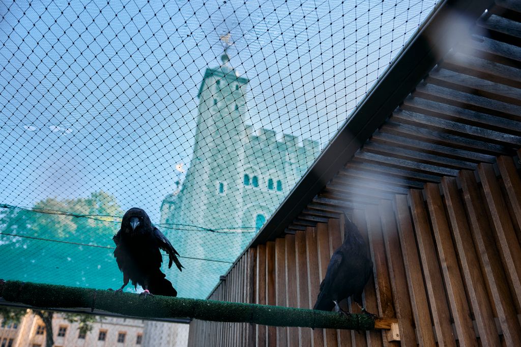 There are at least six ravens at the Tower of London at all times 