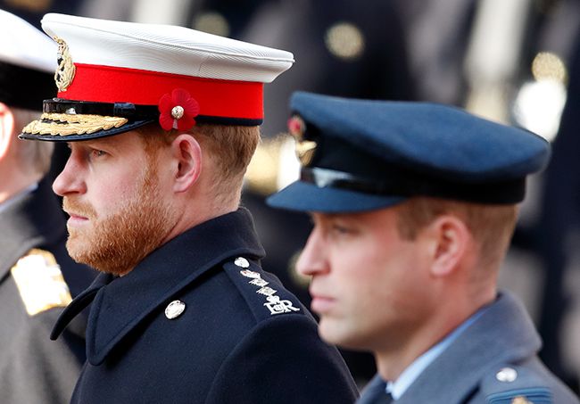 Prince Harry and Prince William in military uniform