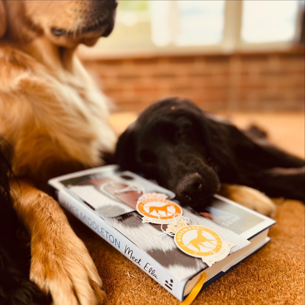 A photo of James' dogs cuddling up to his new book