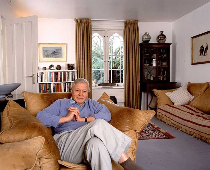 david attenborough home living room