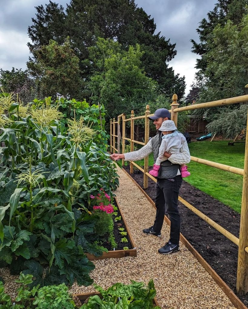 Will Kirk vegetable picking with his daughter