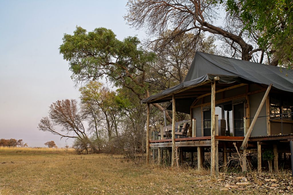 wilderness tubu tree safari