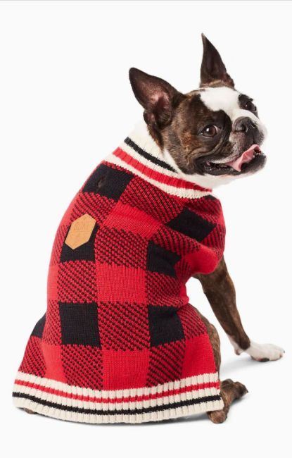 best gifts under 25 dollars dog sweater