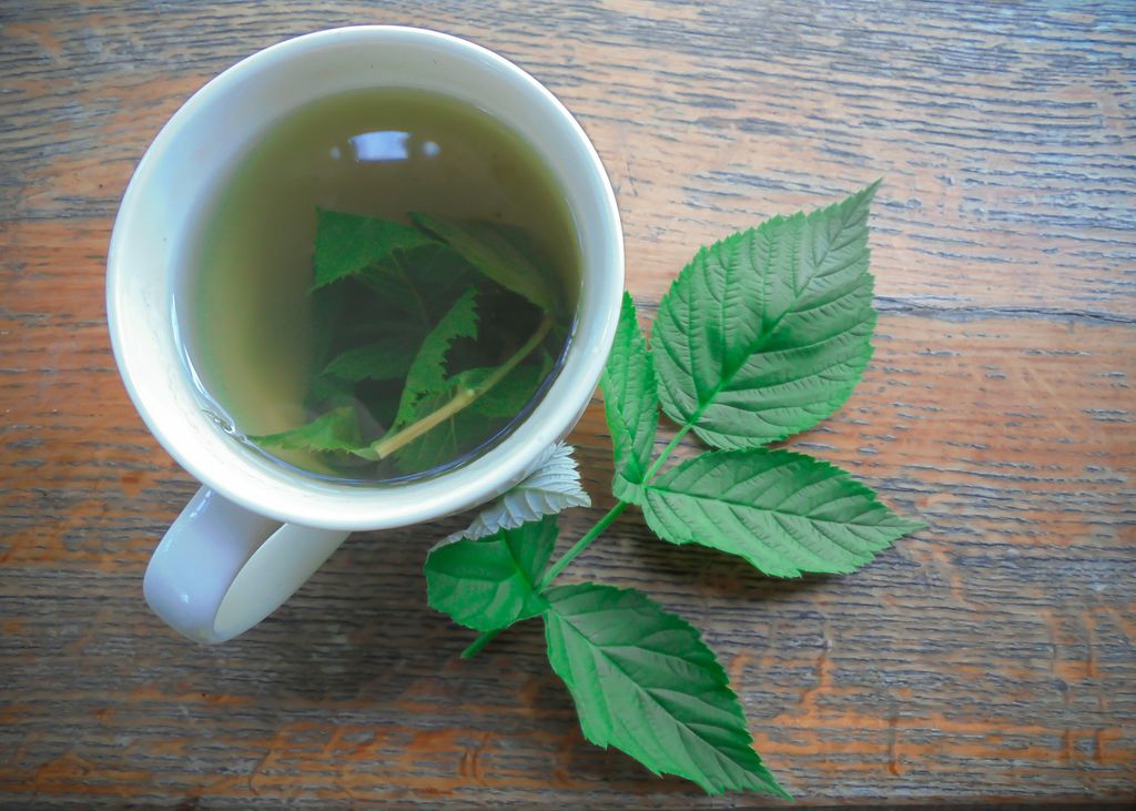 Raspberry leaf tea is ideal for supporting hormones